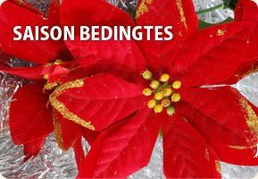 Saison bedingtes